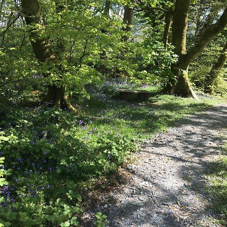 Hotel 173A Woodland Way Porthmadog Zewnętrze zdjęcie